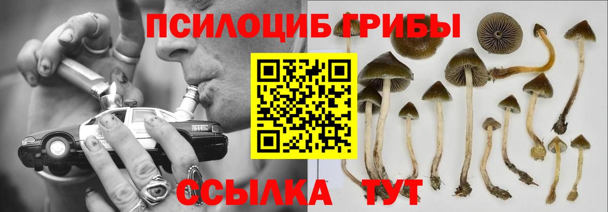 Калач-на-Дону  Псилоцибиновые грибы GOLDEN TEACHER  Вход с VPN 