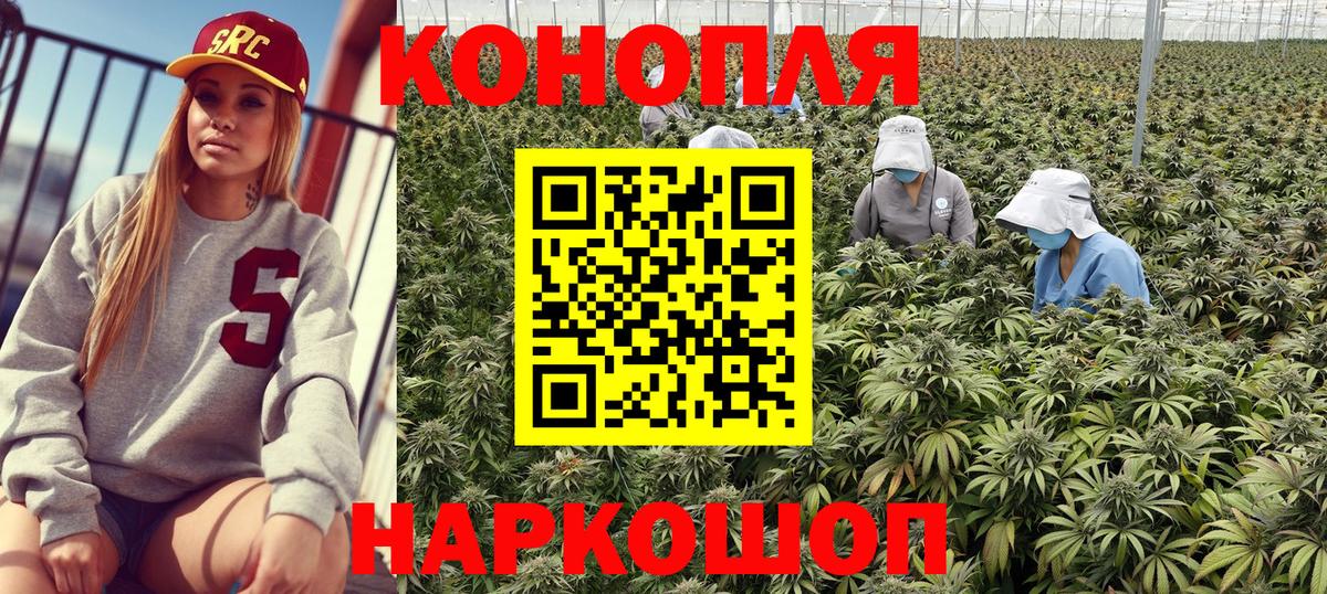 Канабис SATIVA & INDICA  Шишки марихуана гибрид  Вход с VPN  Бошки Шишки сатива  Калач-на-Дону 